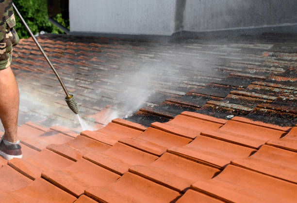 Best Roof Power Washing Services  in Ennis, TX