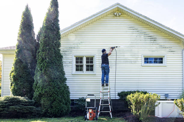 Best Roof Power Washing Services  in Ennis, TX